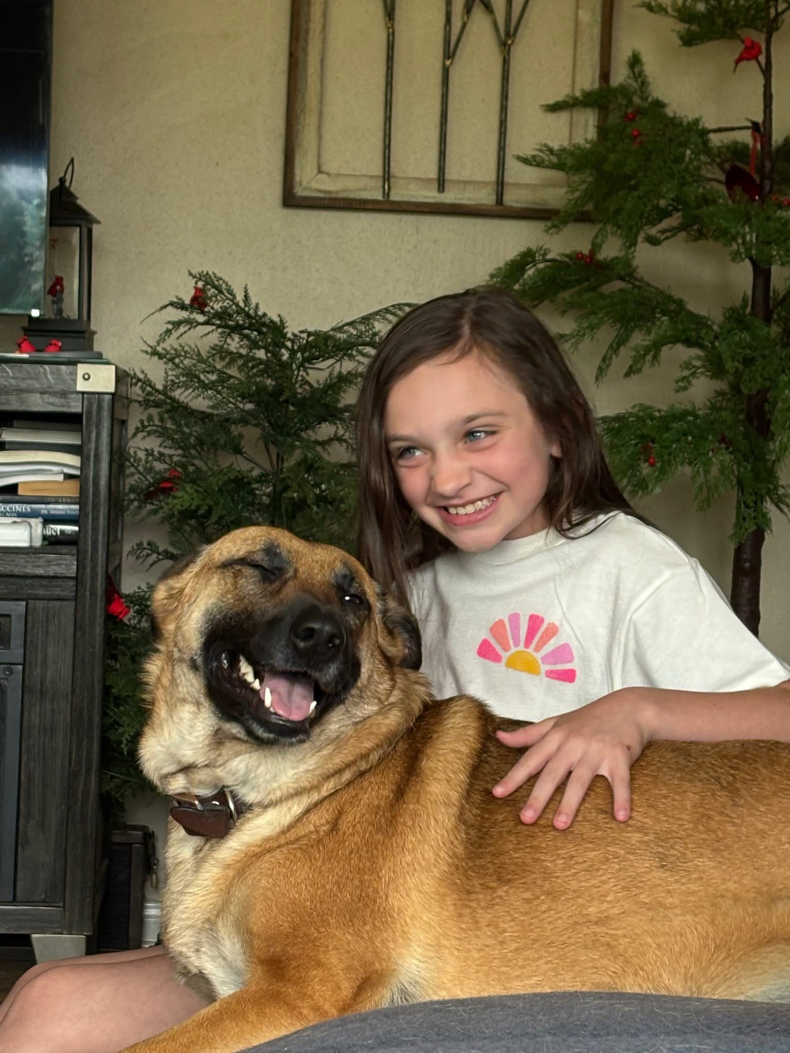 You are currently viewing How to Feel Safer at Home | Fortress K9