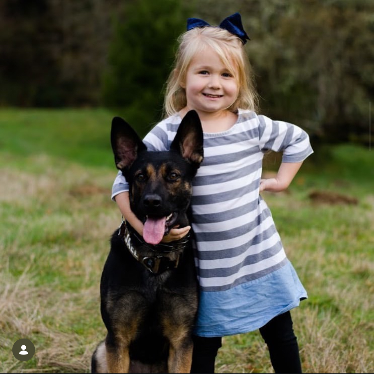 You are currently viewing Protection Dog Training: What Actually Works to Keep Your Family Safe